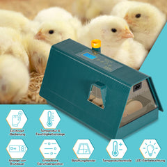 SWANEW 10 Eier Brutmaschine Vollautomatisch, Brutautomat Vollautomatisch Hühner mit Feuchtigkeitsüberwachung und Automatischer Eierrotation