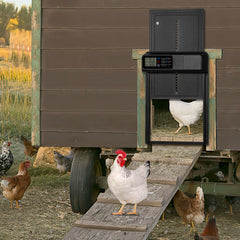 SWANEW Automatische Hühnerklappe – Elektrischer Hühnerstall-Türöffner mit Timer & großem Display – Wasserdicht & Robust für Hühner, Enten & Kleintiere