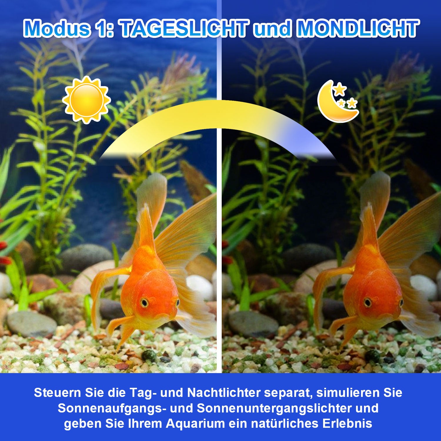 SWANEW LED Aquarium Beleuchtung 18W/30W/45W, Aquarienbeleuchtung 24/7 Modus, wasserdicht, 55-150cm, Aufsetzleuchte Vollspektrum Licht