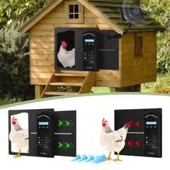 SWANEW Automatische Hühnerklappe Solar, Einklemmschutz, IP65 Wasserdicht, Automatische Hühnertür