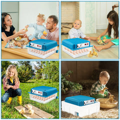 SWANEW 36 Eier Brutmaschine Vollautomatisch, Brutautomat Vollautomatisch Hühner mit Feuchtigkeitsüberwachung und Automatischer Eierrotation