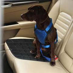 SWANEW Auto Sitzheizung, Auto Rücksitzheizung Matten mit Schalter 12V PKW KFZ getrennt carbonheizmatte Heizstufen