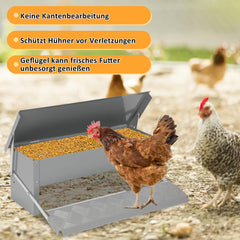 SWANEW Futterautomat hühner, Huhn Gänse Futterspender, 5 kg, mit Handschuhen und Löffel