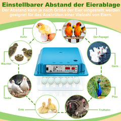 SWANEW 36 Eier Brutmaschine Vollautomatisch, Brutautomat Vollautomatisch Hühner mit Feuchtigkeitsüberwachung und Automatischer Eierrotation
