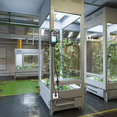 SWANEW Temperaturregler Infrarotheizungen Thermostat 230V 3000W Frostschutzthermostat Digitaler