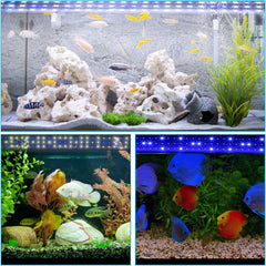 SWANEW Aquarium LED Beleuchtung, 10W Aquarium Lampe, einstellbare Helligkeit Aquariumbeleuchtung Weiß Blau Licht, für Süßwasser-Aquarien