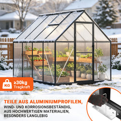 SWANEW Gewächshaus Aluminium, 4 mm Polycarbonat-Hohlkammerplatten, mit Fenster & Metall-Türgriff