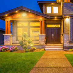 SWANEW LED Strahler, 20/30/50/100W LED Fluter, Warmweiß/Kaltweiß Außenstrahler, IP66 Scheinwerfer (kein Stecker)