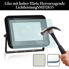 SWANEW LED Strahler, 20/30/50/100W LED Fluter, Warmweiß/Kaltweiß Außenstrahler, IP66 Scheinwerfer (kein Stecker)