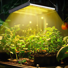 SWANEW 150W Pflanzenlampe, LED Vollspektrum Grow Lampe, Grow Light Dimmbare, Wachstumslampe