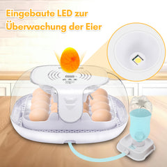 Brutautomat Vollautomatisch Inkubator für 16 Hühnereier