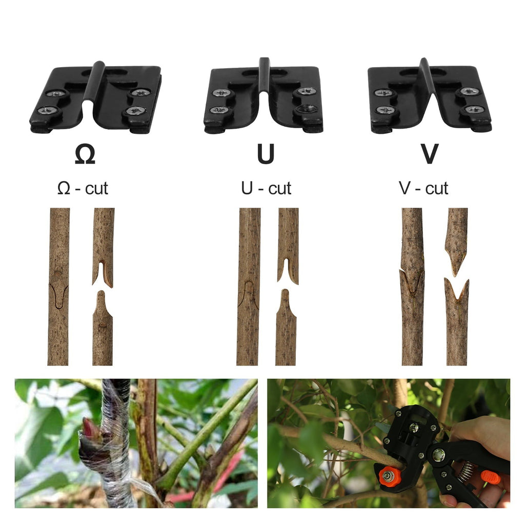 Veredelungsschere Werkzeug zum Entfernen von Gartenästen