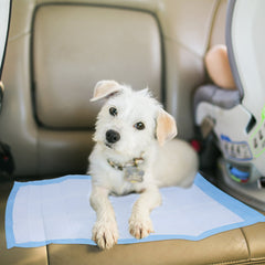 Auslaufsichere Pads für Haustiere, urinabsorbierende Pads