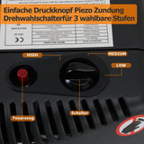 SWANEW Gasheizer für Gasflasche, Gasheizung, 4200W + 1200W Gas-Elektro-Heizgerät,