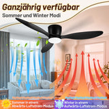 SWANEW Deckenventilator Mit Beleuchtung, 132cm, LED Ventilator Deckenlampe, Umkehrsfunktion, 6 Geschwindigkeiten