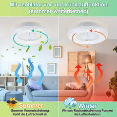 SWANEW 80W Deckenventilator mit Beleuchtung und Fernbedienung WLAN Ø55 cm, 6 Geschwindigkeiten, Dimmbar, Timer, Sommer-Winterbetrieb für Schlafzimmer Wohnzimmer [Energieklasse E]