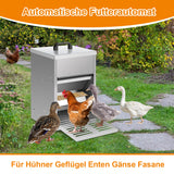 SWANEW Futterautomat Hühner mit Trittplatte, Deckel, 5kg verzinkt, Futterspender Hühner, Hühner Zubehör