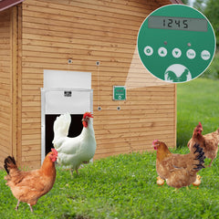 SWANEW Hühnerklappe Automatische Hühnertür Mit Fernsteuerung, für sichere Hühnerhaltung, Multi-Modi-hühnerklappe, 30x60cm