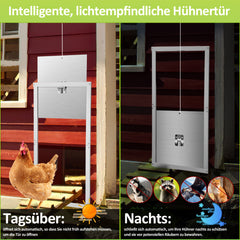 SWANEW Automatische Hühnerklappe Hühnertür Elektrische Hühnerklappe Hühnerhaus Chicken-Door mit Lichtsensor, Zeitschaltuhr, LED Display