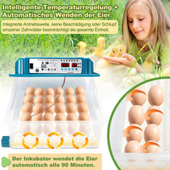 36 Eier Brutmaschine Vollautomatisch
