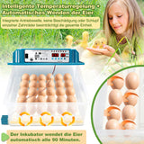 SWANEW 36 Eier Brutmaschine Vollautomatisch, Brutautomat Vollautomatisch Hühner mit Feuchtigkeitsüberwachung und Automatischer Eierrotation