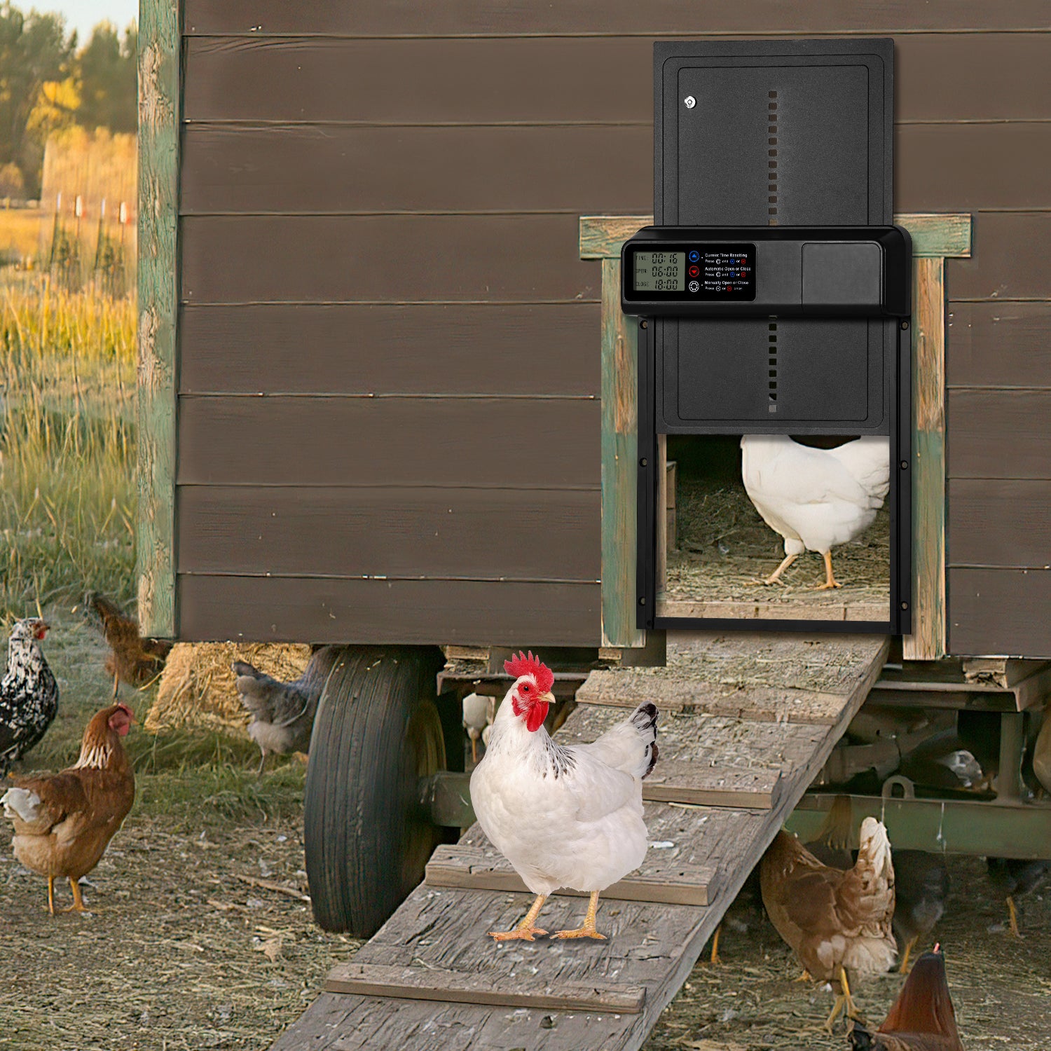 SWANEW Automatische Hühnerklappe – Elektrischer Hühnerstall-Türöffner mit Timer & großem Display – Wasserdicht & Robust für Hühner, Enten & Kleintiere