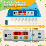 SWANEW 64 Eier Brutmaschine Vollautomatisch, Brutautomat Vollautomatisch Hühner mit Feuchtigkeitsüberwachung und Automatischer Eierrotation