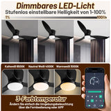 SWANEW Deckenventilator Leise mit Licht φ132cm 40W Fernbedienung Deckenventilator mit Beleuchtung LED Fan Licht 3 Flügel, Timer, 6 Geschwindigkeiten