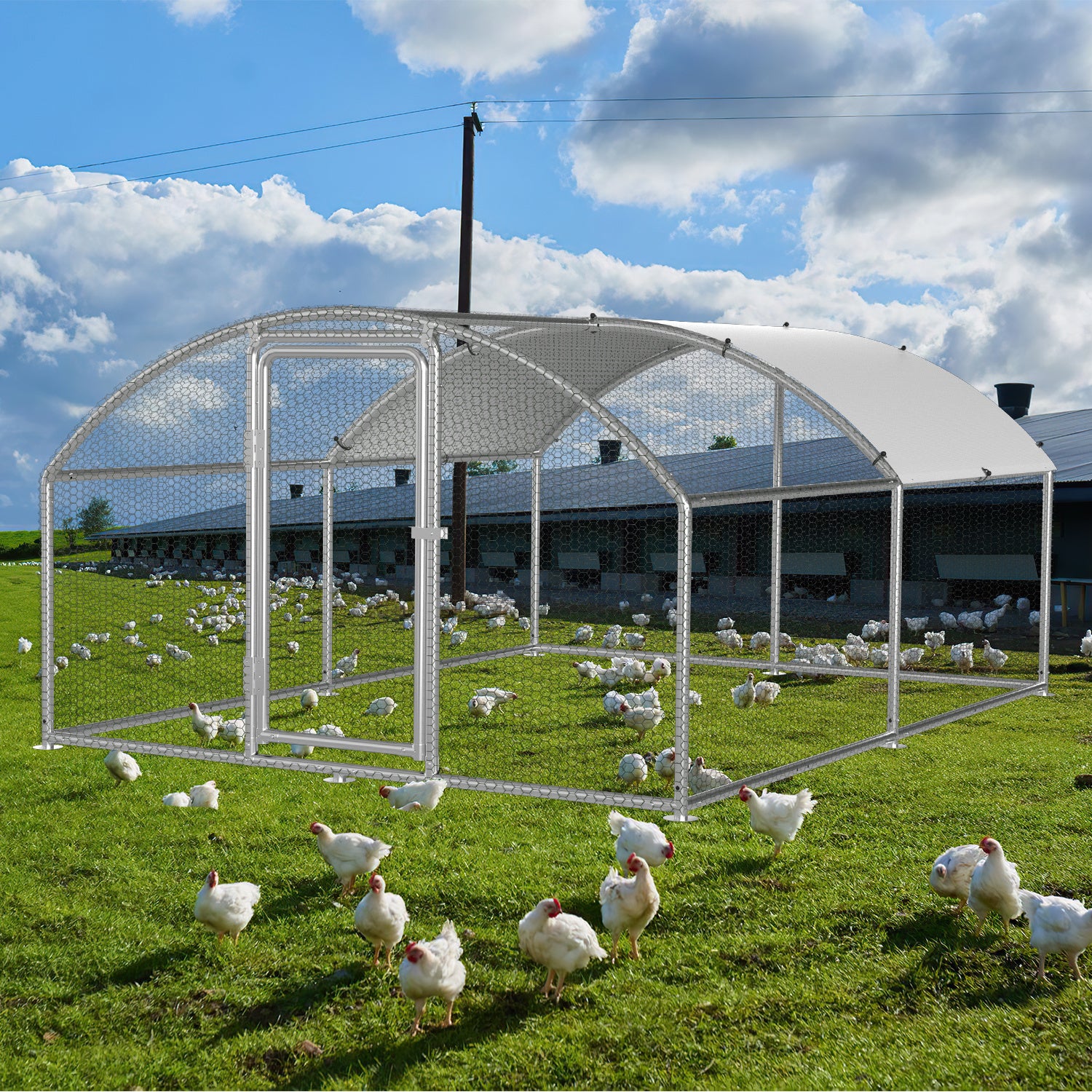 Hühnerstall Freilaufgehege, 3x 4x2m, Dome Roof