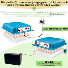 SWANEW 36 Eier Brutmaschine Vollautomatisch, Brutautomat Vollautomatisch Hühner mit Feuchtigkeitsüberwachung und Automatischer Eierrotation