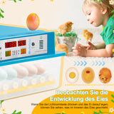 SWANEW 64 Eier Brutmaschine Vollautomatisch, Brutautomat Vollautomatisch Hühner mit Feuchtigkeitsüberwachung und Automatischer Eierrotation