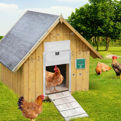 SWANEW Hühnerklappe Automatische Hühnertür Mit Fernsteuerung, für sichere Hühnerhaltung, Multi-Modi-hühnerklappe, 30x60cm