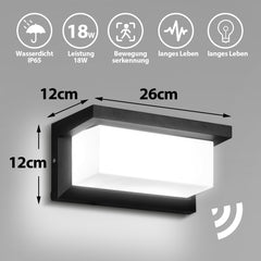 SWANEW LED Wandleuchte 18W LED Wandlampe Sensor Wandleuchte IP65 Außenleuchte mit Bewegungsmelder