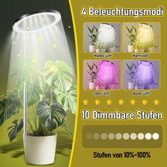 SWANEW 13W Pflanzenlampe 120 Leds 6000K Vollspektrum, Pflanzenlicht für Zimmerpflanzen mit 3/9/12 Auto-Timer, 10 Helligkeit, 4 Lichter Modi, Höhenverstellbar [Energieklasse F]
