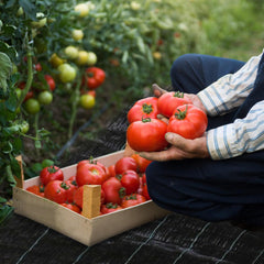 SWANEW Unkrautvlies 90g/m² Gartenvlies,Bodengewebe Wasserdurchlässig,Unkrautfolie Reißfest und UV-Stabilisierung