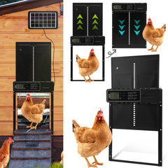 SWANEW Automatische Hühnerklappe Solar Haustierklappe Hühnerstalltür 33x24.5cm