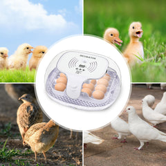 SWANEW Brutautomat Vollautomatisch, Inkubator für 16 Hühnereier, Brutmaschine mit Automatisches Rotationssystem