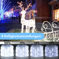 SWANEW 10 Meter LED Lichterschlauch Außen, Wasserfest LED Schlauch, mit Fernbedienung & Timer, Dimmbar & Memory-Funktion, IP65 [Energieklasse F]