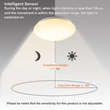 SWANEW LED Deckenlampe mit Bewegungsmelder Deckenleuchte mit Tageslichtsensor Warmweiss 12W 960 Lumen Ø24 cm