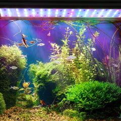 SWANEW Aquarium LED Beleuchtung RGB Spectrum, Aquarienbeleuchtung Dimmbare, Aquarium Lampe mit ausziehbarer Halterung, Aquariumleuchte