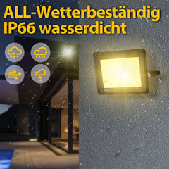 SWANEW LED Strahler, 20/30/50/100W LED Fluter, Warmweiß/Kaltweiß Außenstrahler, IP66 Scheinwerfer (kein Stecker)