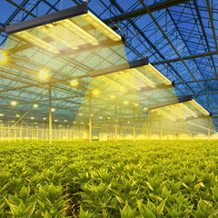 SWANEW 150W Pflanzenlampe, LED Vollspektrum Grow Lampe, Grow Light Dimmbare, Wachstumslampe