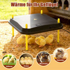 SWANEW Wärmeplatte Küken 30W-50W, Küken Wärmeplatte