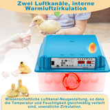 SWANEW 36 Eier Brutmaschine Vollautomatisch, Brutautomat Vollautomatisch Hühner mit Feuchtigkeitsüberwachung und Automatischer Eierrotation