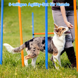 SWANEW Agility Set Hunde groß, 5-teiliges Set Hundetraining zubehör Agility Hürde, Slalom, Agility Hürde, Sprungring & Hundetunnel