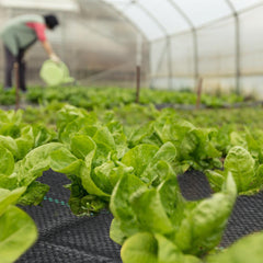 SWANEW Unkrautvlies 90g/m² Gartenvlies,Bodengewebe Wasserdurchlässig,Unkrautfolie Reißfest und UV-Stabilisierung