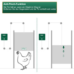 SWANEW Hühnerklappe Automatische Hühnertür Mit Fernsteuerung, für sichere Hühnerhaltung, Multi-Modi-hühnerklappe, 30x60cm