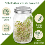 SWANEW Sprossenglas Keimglas, 2er Set Sprossenglas mit Deckel & Sieb, 950ML Kapazität 2 Einstellbare Halterung 1 Weiß Drip Tray, Sprossen Keimgerät