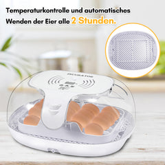 SWANEW Brutautomat Vollautomatisch, Inkubator für 16 Hühnereier, Brutmaschine mit Automatisches Rotationssystem