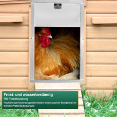 SWANEW Hühnerklappe Automatische Hühnertür Mit Fernsteuerung, für sichere Hühnerhaltung, Multi-Modi-hühnerklappe, 30x60cm